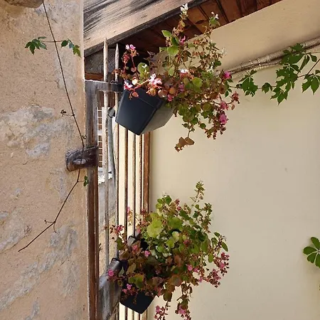 Le Chez Moi - Hyper Centre Historique - Terrasse De Toit Διαμέρισμα